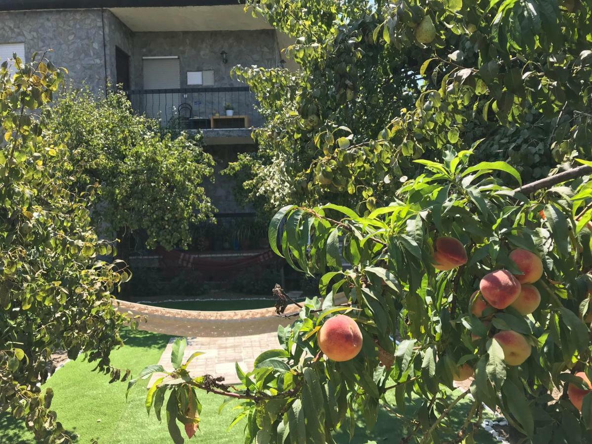 Landscape Garden Village Vouzela Exterior foto