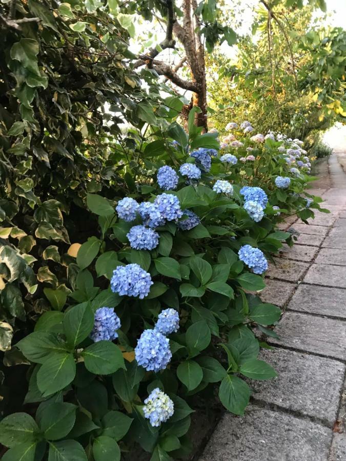 Landscape Garden Village Vouzela Exterior foto